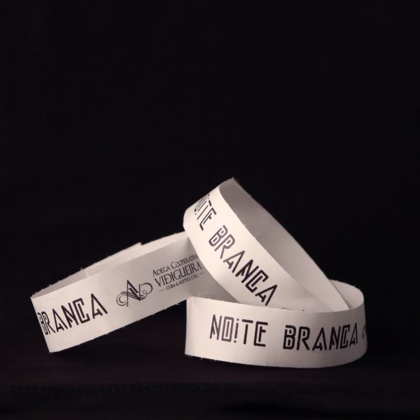 Festa Noite Branca 2025 - Image 4
